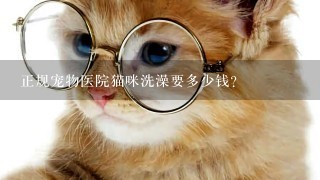 正规宠物医院猫咪洗澡要多少钱?