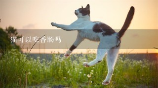 猫可以吃香肠吗