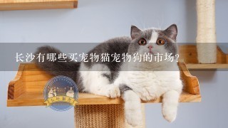 长沙有哪些买宠物猫宠物狗的市场？