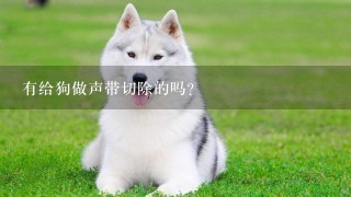 有给狗做声带切除的吗？