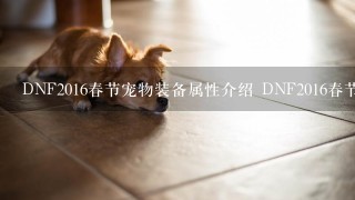 DNF2016春节宠物装备属性介绍 DNF2016春节宠物装备怎么样