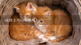 高铁上可以带猫吗？