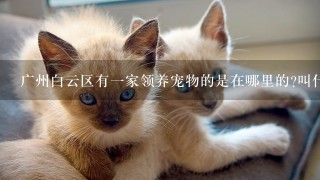 广州白云区有一家领养宠物的是在哪里的?叫什么?是公立的领养机构