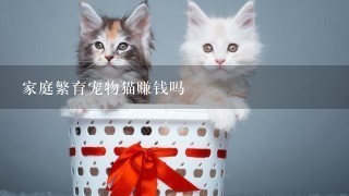 家庭繁育宠物猫赚钱吗