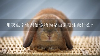 用灭虫宁滴剂给宠物狗杀虫需要注意什么?