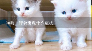 狗狗缼钾会出现什么症状