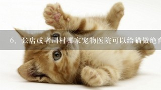 张店或者周村哪家宠物医院可以给猫做绝育?公猫用进