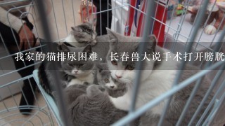 我家的猫排尿困难，长春兽大说手术打开膀胱，但是北京的宠物医院说不打开膀胱直接造瘘手术，我该怎么办。