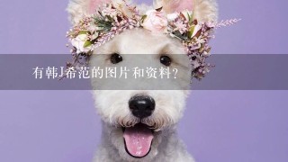 誰有韩J希范的图片和资料？