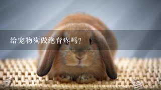 给宠物狗做绝育疼吗？