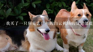 我买了一只狗是去广州的白云机场的货运部提狗吗，货运部又是怎样去的