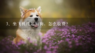 坐飞机托运狗狗，怎么收费？