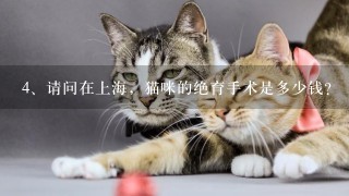 请问在上海，猫咪的绝育手术是多少钱？