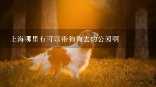 上海哪里有可以带狗狗去的公园啊