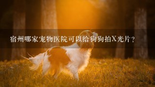 宿州哪家宠物医院可以给狗狗拍X光片？