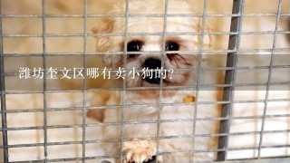 潍坊奎文区哪有卖小狗的？