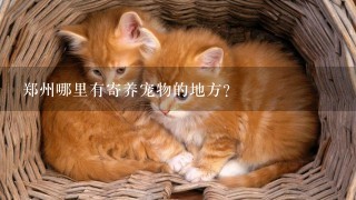 郑州哪里有寄养宠物的地方？