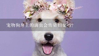 宠物狗身上的滴虫会传染妇女吗？