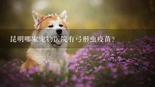 昆明哪家宠物医院有弓形虫疫苗？