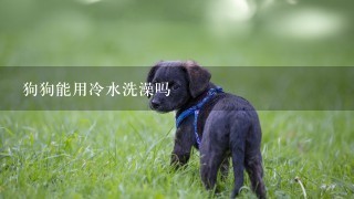 狗狗能用冷水洗澡吗