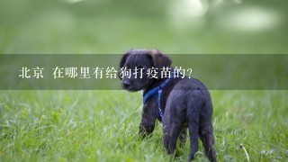北京 在哪里有给狗打疫苗的？