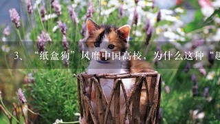 “纸盒狗”风靡中国高校，为什么这种“趣味社交”会
