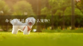 办公室里适合养什么宠物？