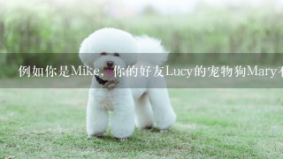 例如你是Mike，你的好友Lucy的宠物狗Mary有失好几天了，为她感到焦虑，请给Lucy写封信安慰她，并推测狗有可能会在哪里做什么。有关英语作文