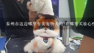 泰州市这边哪里有卖宠物犬的?在哪里买放心些?