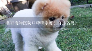 北京宠物医院口碑哪家好？有排名吗？