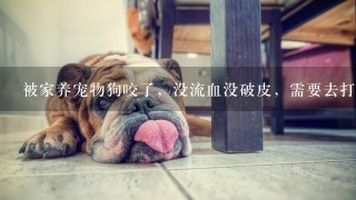 被家养宠物狗咬了，没流血没破皮，需要去打狂犬疫苗