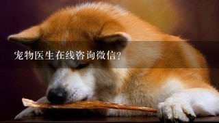 宠物医生在线咨询微信？