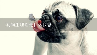 狗狗生理期是什么状态