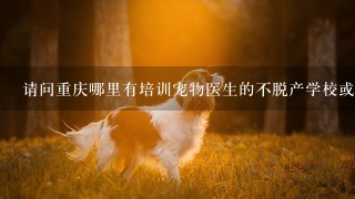 请问重庆哪里有培训宠物医生的不脱产学校或者是夜大