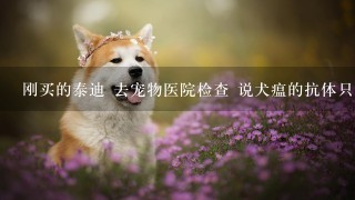 刚买的泰迪 去宠物医院检查 说犬瘟的抗体只有1-2 要注意点 让我别给它吃狗粮 给它吃营养