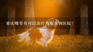 重庆哪里有可以治疗乌龟宠物医院？