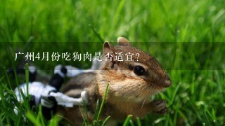 广州4月份吃狗肉是否适宜？