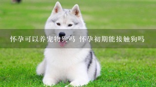 怀孕可以养宠物狗吗 怀孕初期能接触狗吗