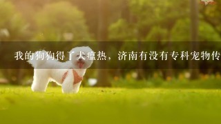 我的狗狗得了犬瘟热，济南有没有专科宠物传染病医院？