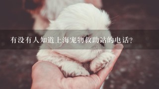 有没有人知道上海宠物救助站的电话?