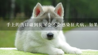 手上的伤口碰到狗屎会不会感染狂犬病，如果狗屎是新鲜