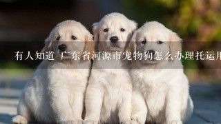 有人知道 广东省河源市宠物狗怎么办理托运用的检验检疫证和 去哪里办理吗？