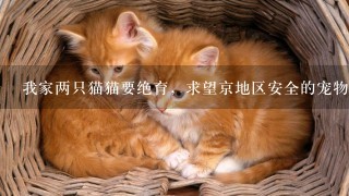 我家两只猫猫要绝育，求望京地区安全的宠物医院，收