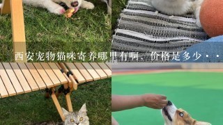 西安宠物猫咪寄养哪里有啊，价格是多少··着急过年我家的宝宝怎么办··