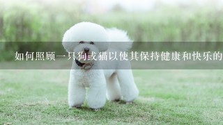 如何照顾一只狗或猫以使其保持健康和快乐的状态？