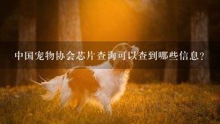 中国宠物协会芯片查询可以查到哪些信息？