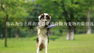 你认为什么样的龙猫是适合做为宠物的最佳选择？