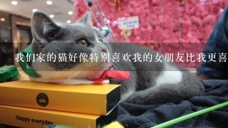 我们家的猫好像特别喜欢我的女朋友比我更喜欢她这是为什么呢？