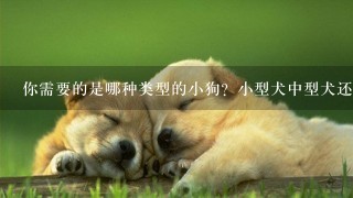 你需要的是哪种类型的小狗？小型犬中型犬还是大型犬？