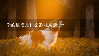 你的最爱是什么游戏或活动？